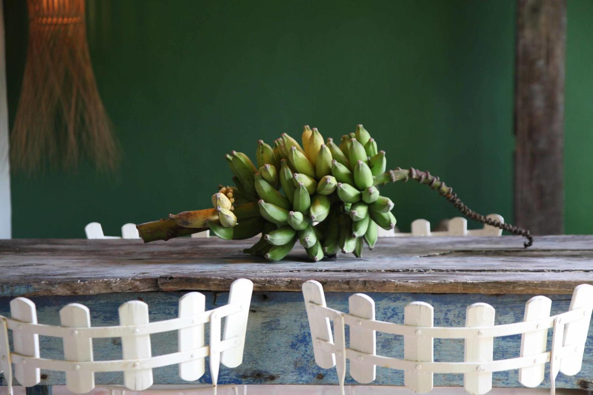 Uxua Casa Hotel & Spa ตรันโกโซ ภายนอก รูปภาพ
